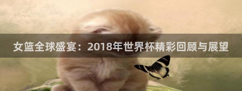 世界杯直播平台:女篮全球盛宴:2018年世界杯精彩回顾与展望