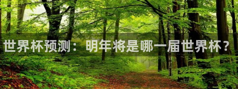足球世界杯2026年赛程时间表:世界杯预测:明年将是哪一届世界杯?