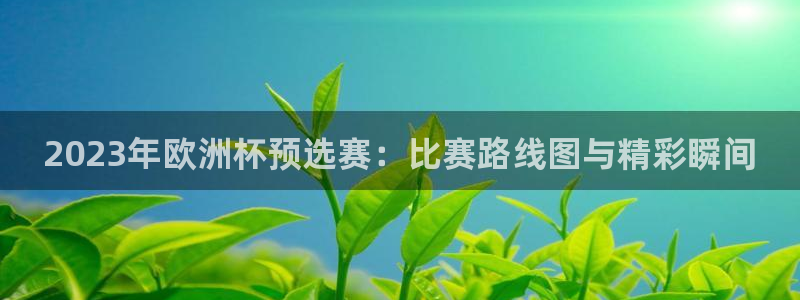 女足世界杯直播:2023年欧洲杯预选赛:比赛路线图与精彩瞬间