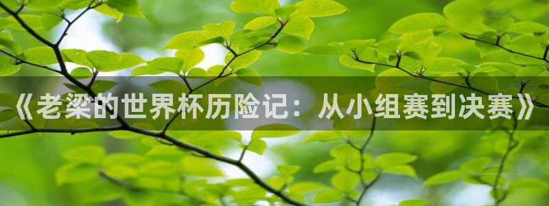 26世界杯:《老梁的世界杯历险记:从小组赛到决赛》