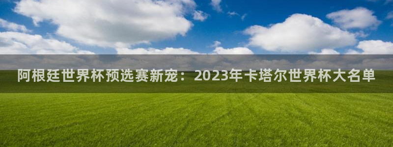 世界杯 直播:阿根廷世界杯预选赛新宠:2023年卡塔尔世界杯大名单