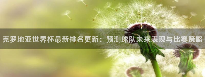 2026足球世界杯:克罗地亚世界杯最新排名更新:预测球队未来表现与比赛策略