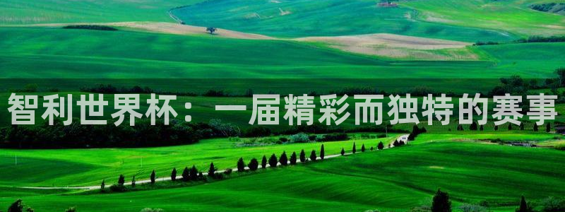 2006年世界杯冠军:智利世界杯:一届精彩而独特的赛事