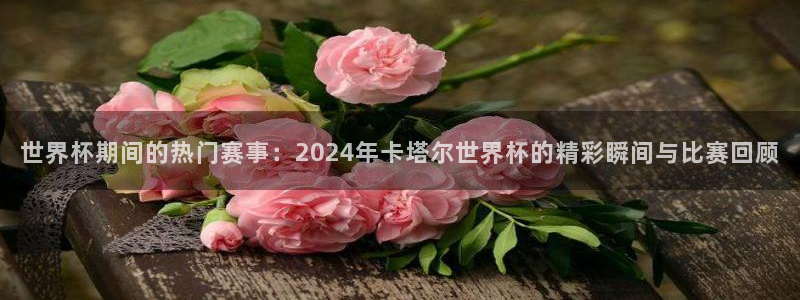 世界杯球赛:世界杯期间的热门赛事:2024年卡塔尔世界杯的精彩瞬间与比赛回顾