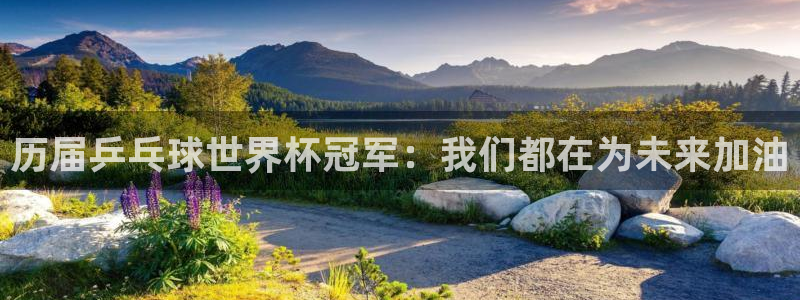 世界杯欧洲区预选赛:历届乒乓球世界杯冠军:我们都在为未来加油